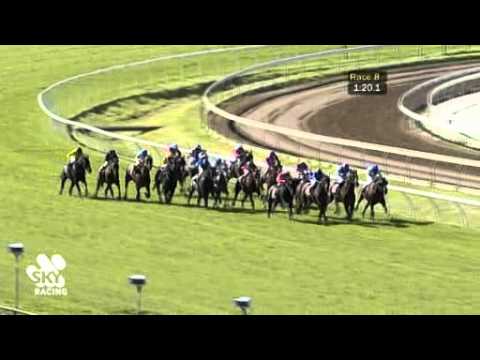 2011 Group 1 Carlton Draught Railway Stakes