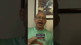 FREE Sauna & Steam Room on a Cruise?! ♨️😲