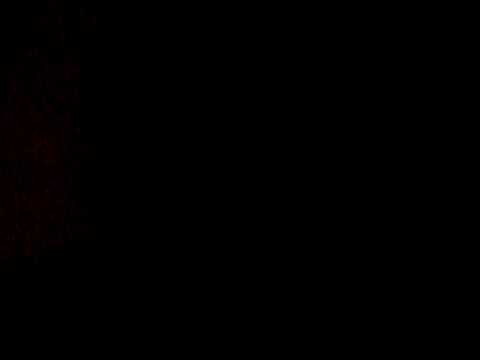 Lil Haze - Rack city (Freestyle)