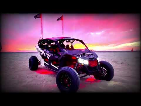 Roncan y No Tan - Chico Dio / Vizualizer