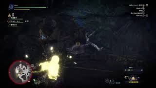 モンスターハンターワールドアイスボーン（MHWIB）弓練習