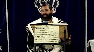 דף היומי עבודה זרה דף כ"ב ע"א ¤ הרב נתנאל אברז'ל ¤ בית הכנסת "בית מרדכי" (מוסדות תורת דוד) - התמונה מוצגת ישירות מתוך אתר האינטרנט יוטיוב. זכויות היוצרים בתמונה שייכות ליוצרה. קישור קרדיט למקור התוכן נמצא בתוך דף הסרטון