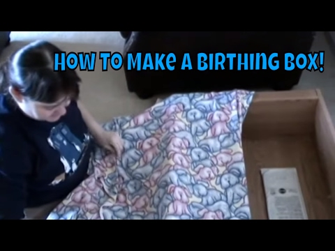 How To Make A Cat Or Dog Birthing Box 😺