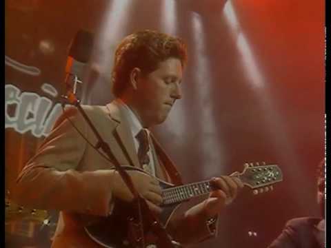 Hot Rize: Shady Grove