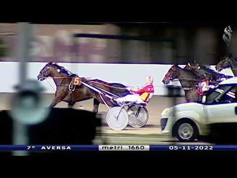 Aversa trotto 5 Novembre 2022 - 7° Corsa