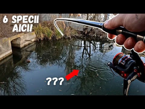 CARAS, TEN, CIORTAN si BABUSCA la PLUTA IARNA cu NEPOTII