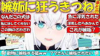 動物に嫉妬するフブさんが可愛い過ぎる!!【#白上フブキ 】【#切り抜き】【#まとめ 】