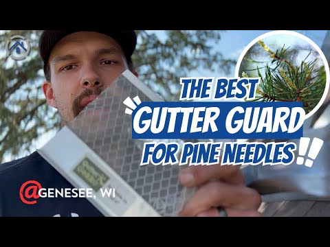 The Best Gutter Guards for Pine Needles | Genesee, WI