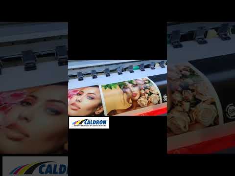 Seiko 508 gs lane cable flex printing machine, printing reso...