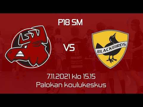 P18 SM: Happee - Blackbirds 7.11.2021 klo 15.15