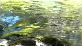 Pat Metheny Daybreak HEY ECM READ!!!!