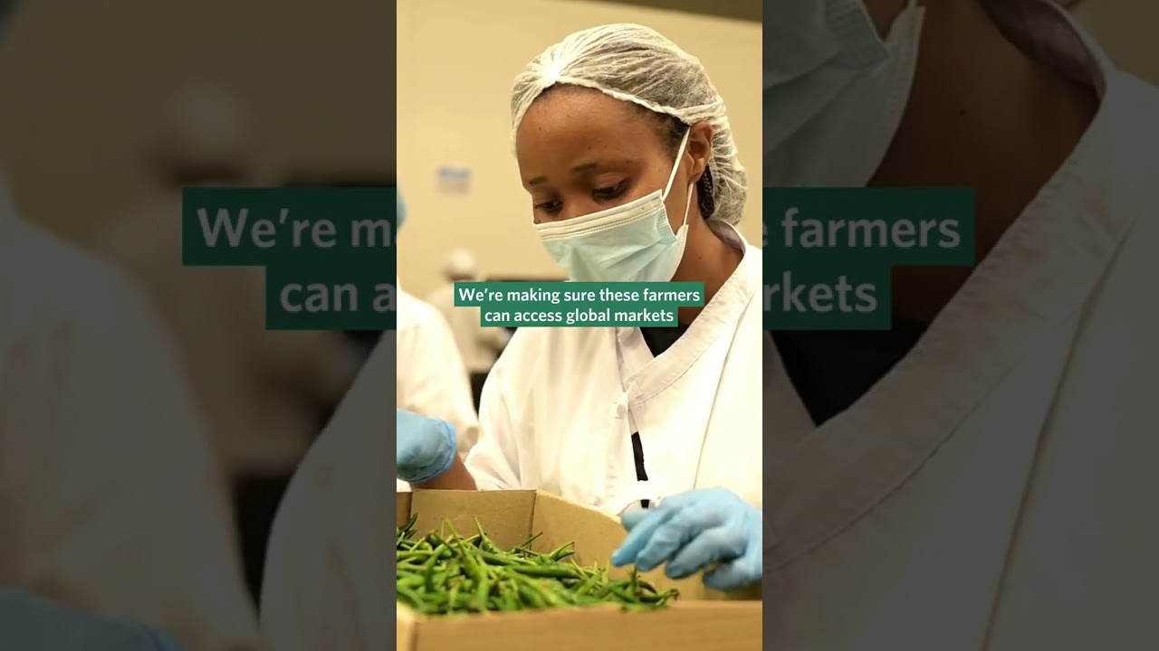 Making markets work for smallholders. 🌶️