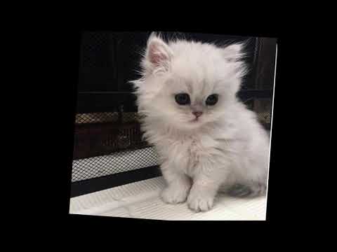 Ill delete this in 24 hours