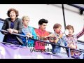 One Direction - More Than This - (Acapella) 