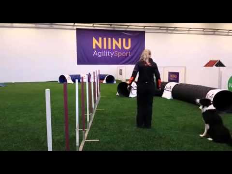 2015-03-03_ Rei weave training