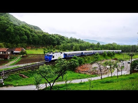 GM1300 + IR363-2 passing honking near Lorau, Bihor County (04 05 2014)