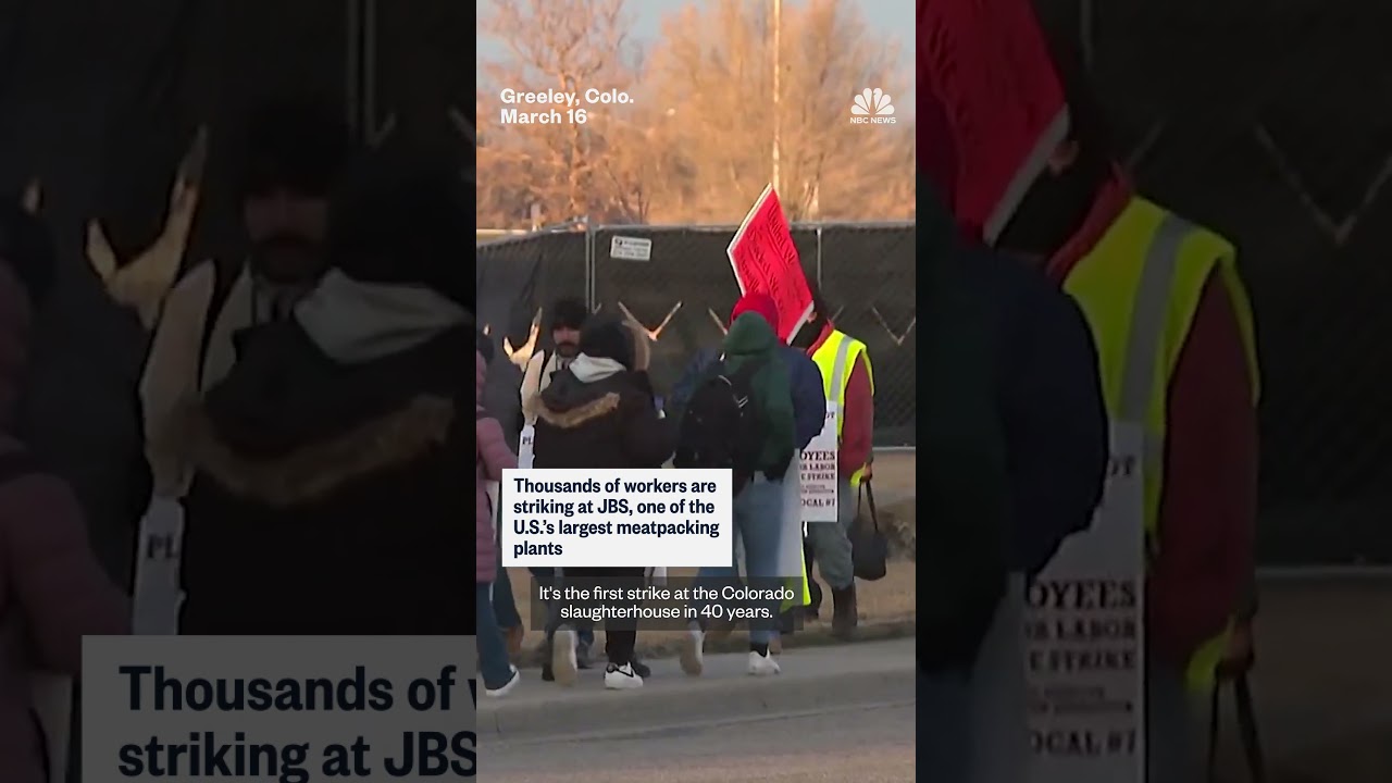Thousands of workers strike at JBS meatpacking plant