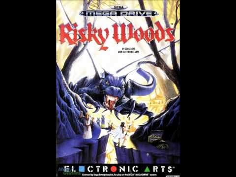 risky woods genesis rom