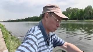 Ссылка