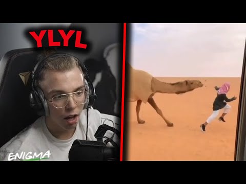 MOTYW PRZEWODNI MATERIAŁU: MEMY+ŚMIECH | YLYL by ENIGMA!