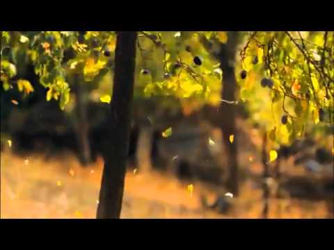 Introducing Serbia Turistpoint.com