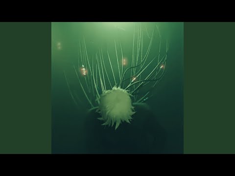 Video thumbnail for Paint Another Picture