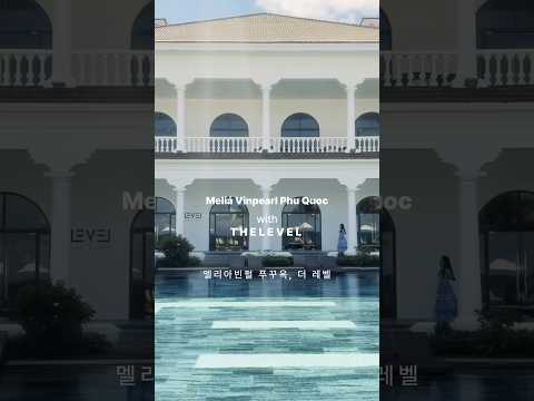 비디오 6