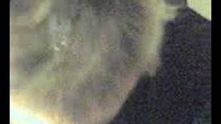 susan vickers(mother)