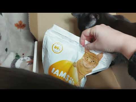 IAMS Cat food review for Influenster *chaos*
