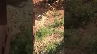 Babamı istiyorum diye ağlayan Çocukları yakalayan Jandarma. Babamı istiyorum
