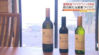 富岡町産ブドウでワインが完成！