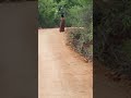 My Village Real Ghost