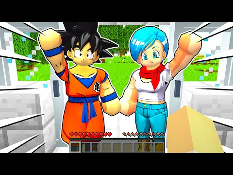 GOKU E BULMA Di DRAGONBALL Vengono A FARCI VISITA Su Minecraft!