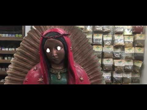 Ackeejuice Rockers - West Coast Tour 2016 Video Recap