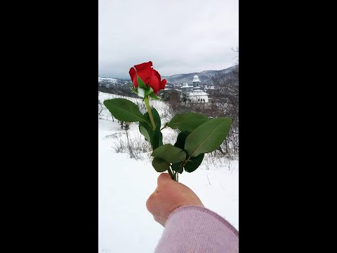 Fantastic rural landscapes -  Poiana Cristei, a place with a story