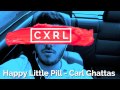 Happy Little Pill - Troye Sivan (cover by Carl ...