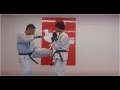 Karate Basic Kick Training Japan 07 