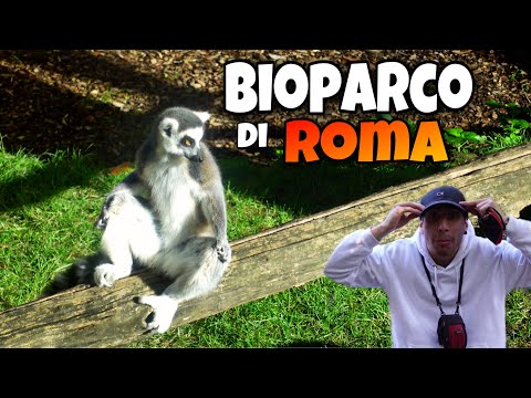 ZOO di ROMA con PIÙ DI MILLE ANIMALI