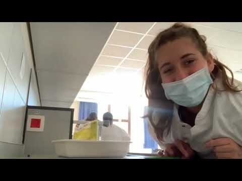 Grey's Anatomy episode 2