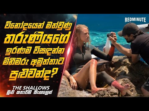 මිනීමරණ තෝතැන්නක් මේක 😱 | Ending Explained Sinhala | Sinhala Movie Review | Red Minute