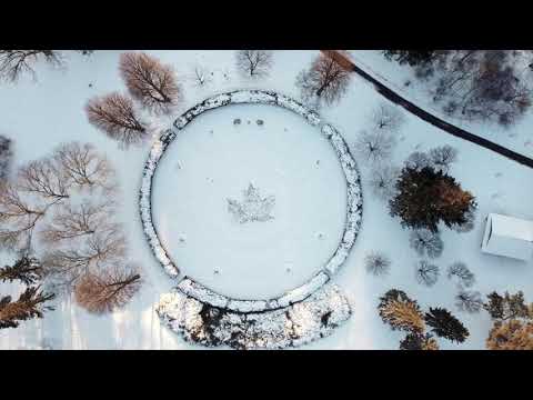 Sharkkz - Conflicted (visualiser)