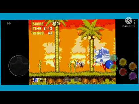 coitado do tails- sonic 3