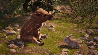 Adorable Adventures launch trailer teaser