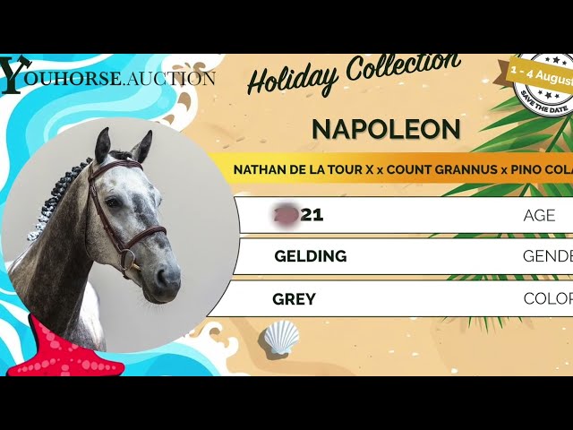 Napoleon showvideo