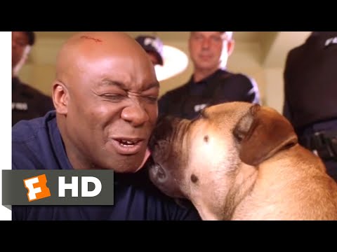 See Spot Run (2001) - He Needs a Family Scene (8/8) | Movieclips