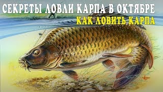 Ссылка