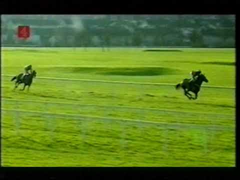 2002 Woodiesdiy.com Christmas Hurdle