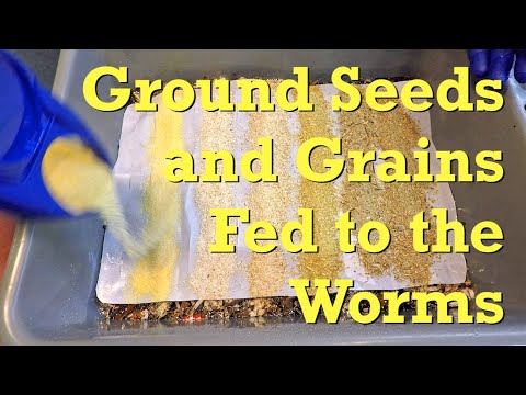 Ground-up seeds & grains fed to worms - vermicompost