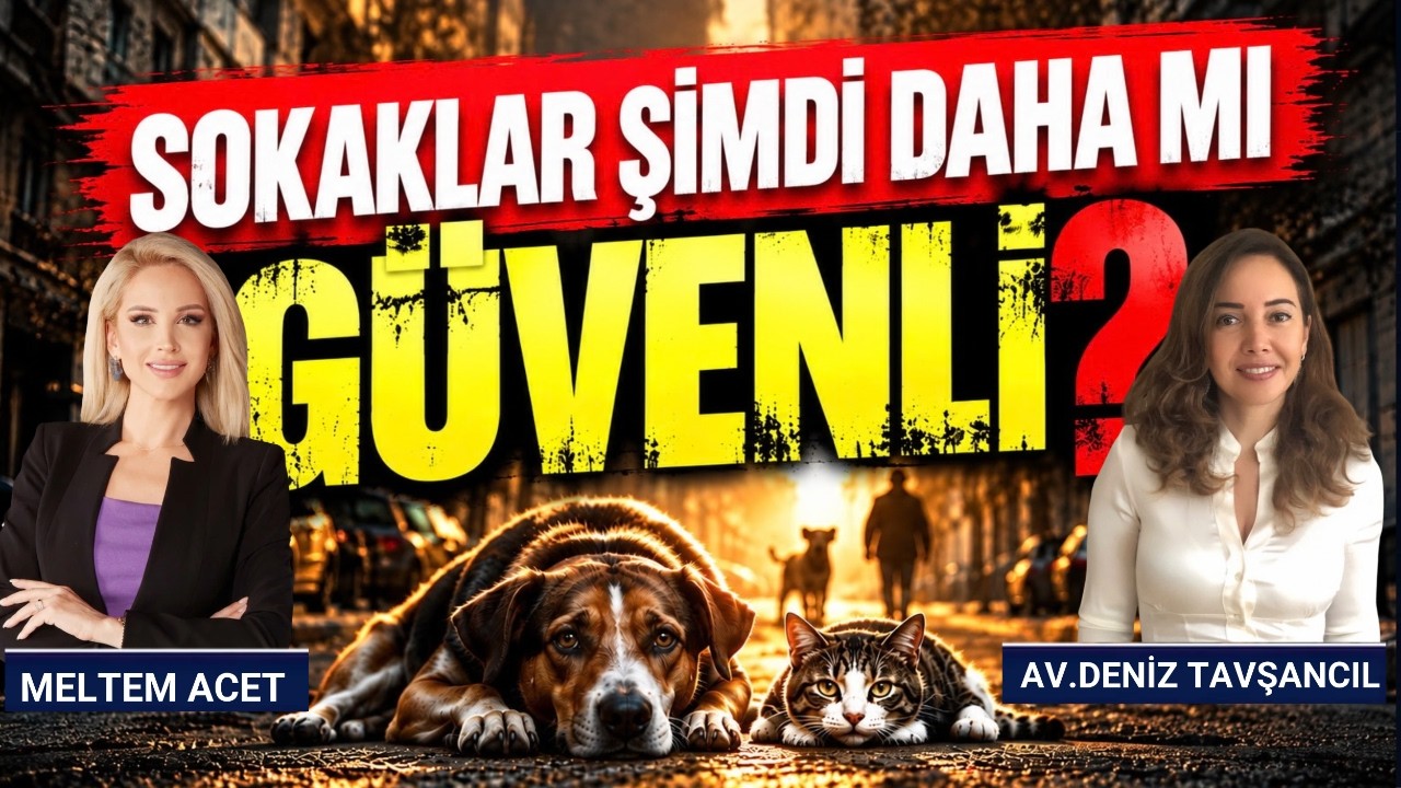 Beslemek Yasak mı? Toplamak Çözüm mü? Hayvan Haklarında Yeni Dönem | Av. Deniz Tavşancıl