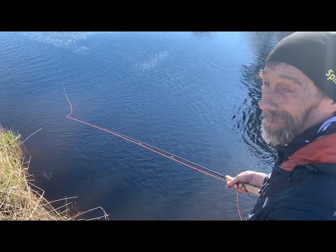 Meritaimenen ja kirjolohen kevätkalastus Merikarvianjoella - Merikarvianjoki - Perhokalastus